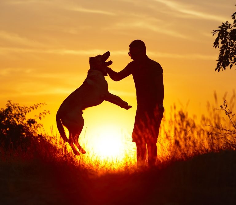 ¿Cómo nos ayudan en nuestro estado anímico los animales?