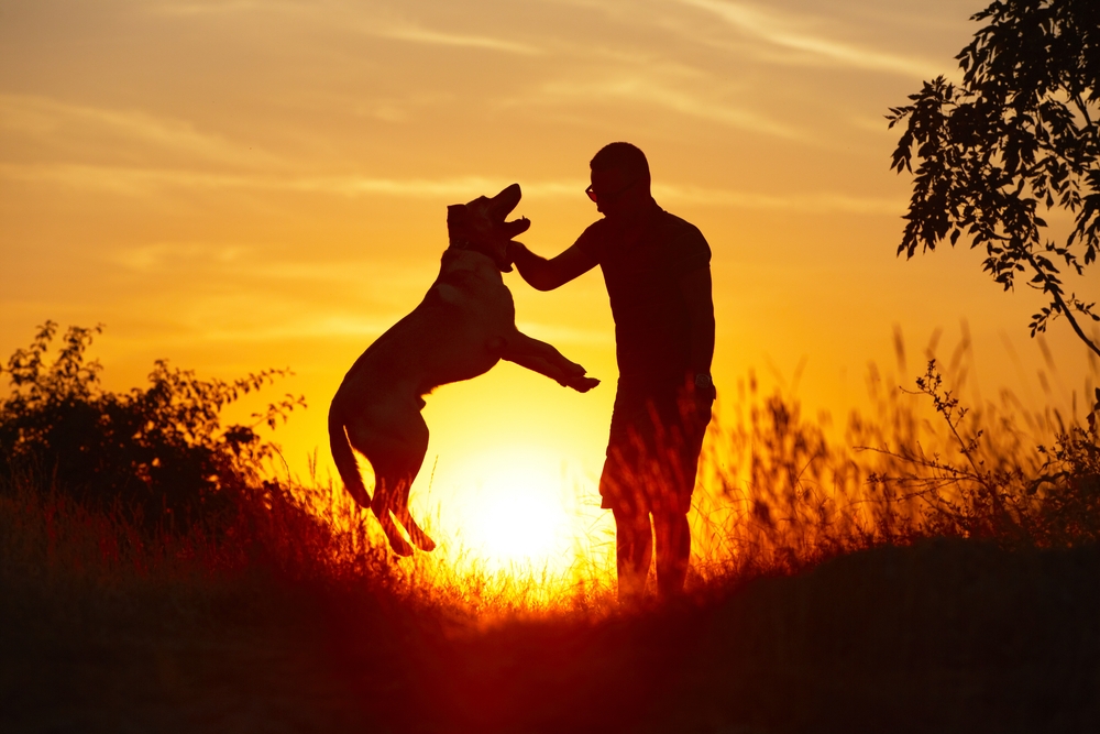 ¿Cómo nos ayudan en nuestro estado anímico los animales?