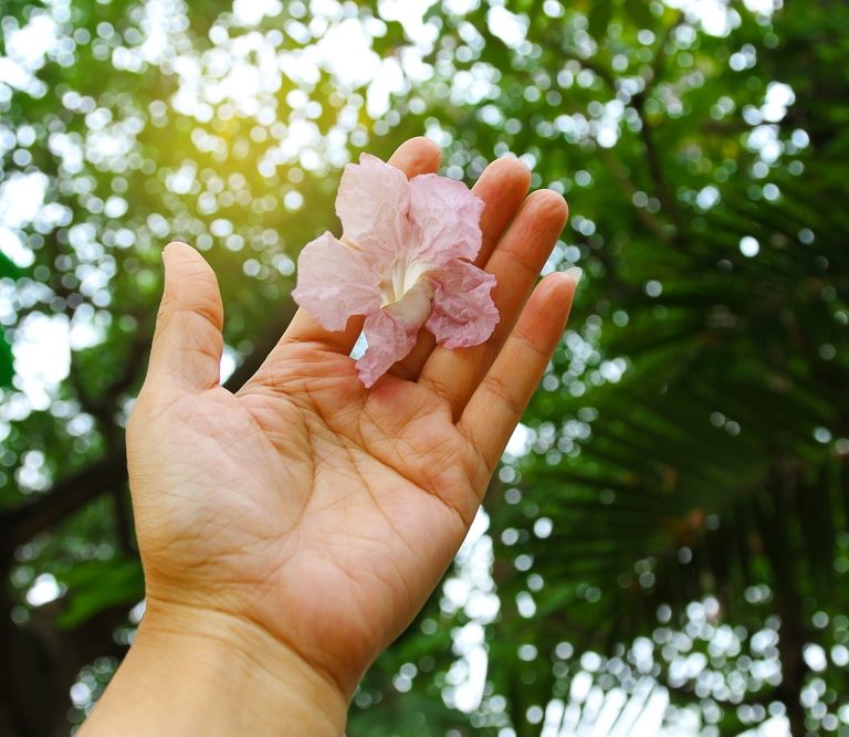 La primavera ¿el ánimo altera?