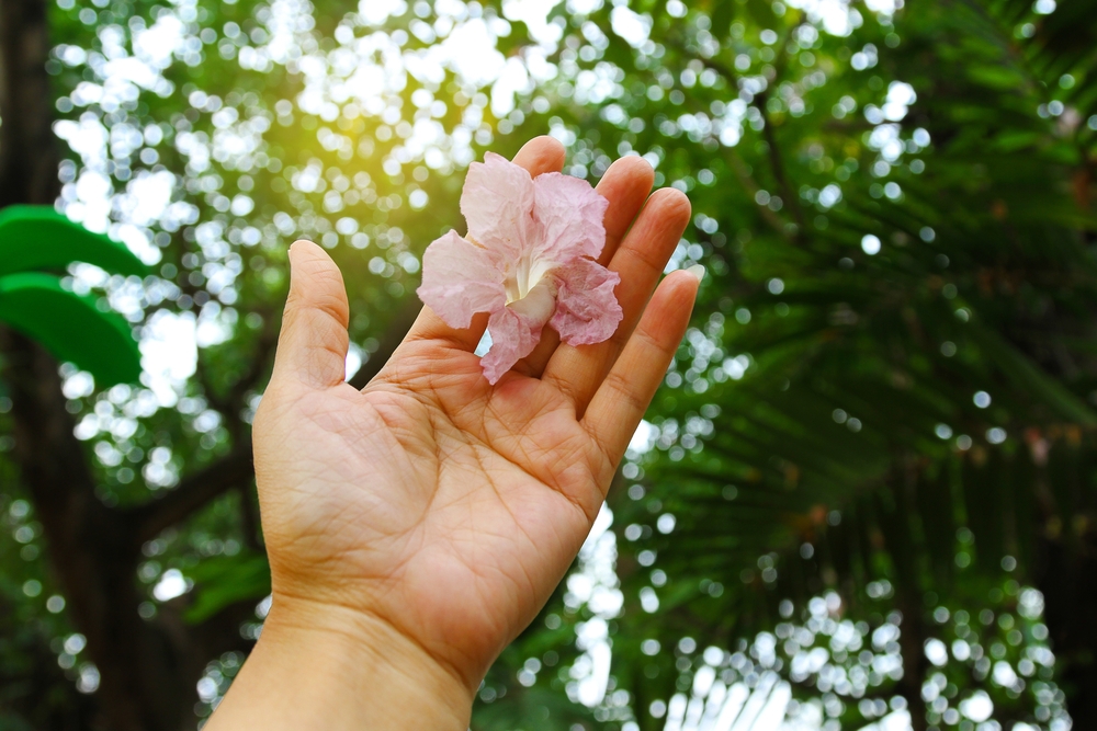 La primavera ¿el ánimo altera?